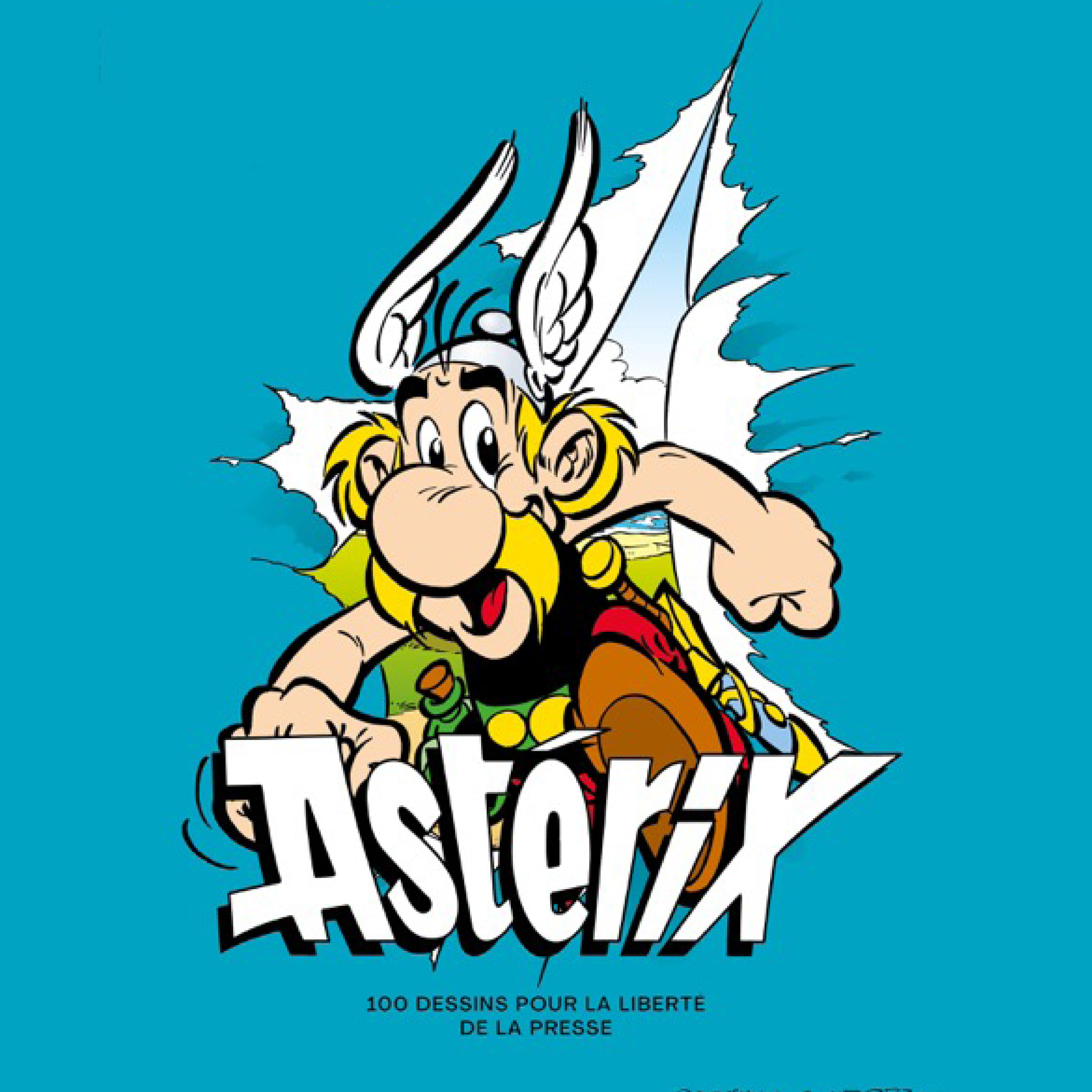 Cloud City 7 Asterix and Obelix Retro Japanese Kid's T-Shirt Black :  Amazon.co.uk: Fashion