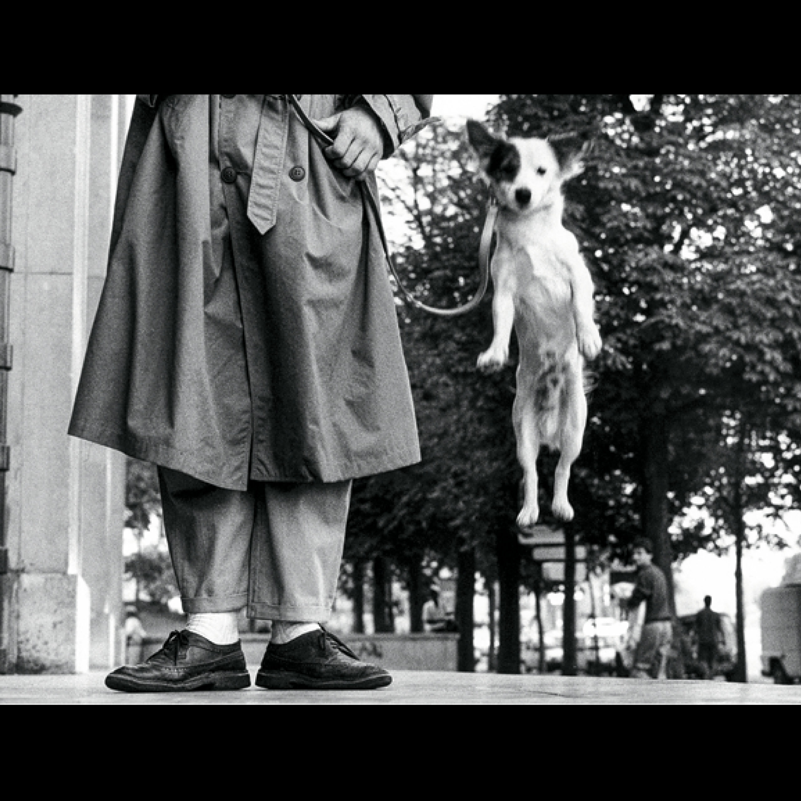 Admirable, de Sophie Fontanel et Elliott Erwitt, 100 photos pour la  liberté de la presse